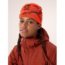 Lightweight Grotto Toque by Arc'teryx