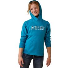 3D Logo 2.0 Hoodie by Ariat in Roseburg OR