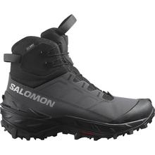 Crosstrak powder waterproof by Salomon