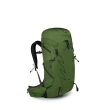 Talon 33 by Osprey Packs in Gap 