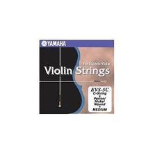 EVS-5C by Yamaha Music in Belleville ON