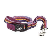 Dog Leashes Ridge Gray Blue