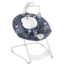 Fisher-Price See & Soothe Deluxe Bouncer by Mattel