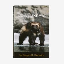 The Wolverine Way by Douglas Chadwick (Patagonia published paperback book) by Patagonia