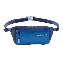 Stash Waist Bag by Eagle Creek in Grand Rapids MI