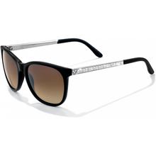 Spectrum Sunglasses