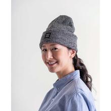 Abbott Beanie by Herschel Supply
