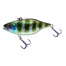 TN Disk Knocker by Shimano Fishing