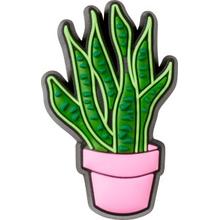 Pink Potted Plant