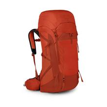 Talon Pro 40 by Osprey Packs