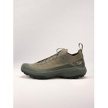 Vertex Alpine GTX Shoe Men's by Arc'teryx