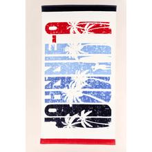 US of A Towel by Johnnie-O