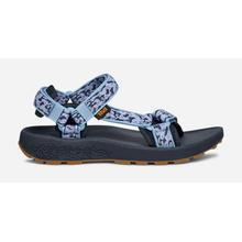 Women's Hydratrek Sandal by Teva