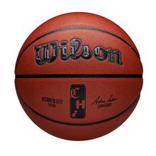 NBA Authentic Indoor/Outdoor City Basketball by Wilson in Concord NC