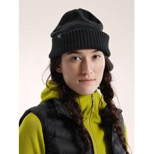 Mallow Toque by Arc'teryx in St. John's NL