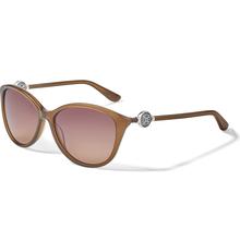 Ferrara Sunglasses by Brighton