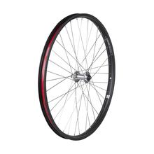 Townie Go! 8i Centerlock Disc 26" Wheel by Electra in Athens OH