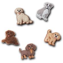 Doggie Doodle 5 Pack by Crocs in Spring TX