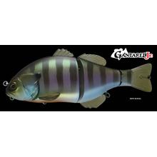 Gantarel Jr. Rt Carp by Shimano Fishing