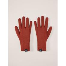 Gothic Glove by Arc'teryx