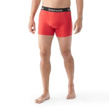 Male Men's Active Boxer Brief Boxed by Smartwool in Huntingdon Valley PA