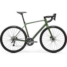 Scultura Endurance 300 - Silk Green/Green-Silver - MY25