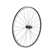 Bontrager Affinity TLR 24H 700c Road Wheel by Trek in Brookline MA