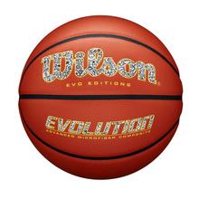 Evo*Editions Drop 108 "Day Dreamer" Basketball by Wilson