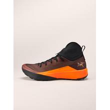 Vertex Speed Shoe Men's by Arc'teryx in Oslo