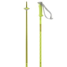 Unisex Polar by Salomon
