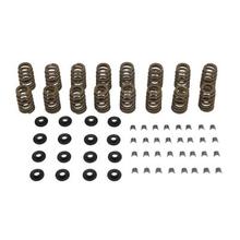 Quicksilver 8M0120862 Valve Spring Kit 357 CT Iron Heads by Mercury Marine