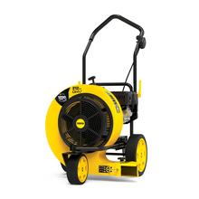 212 cc Walk-Behind Leaf Blower by Champion Power Equipment