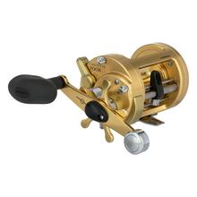 Calcutta B by Shimano Fishing