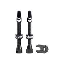 Alloy Tubeless Presta Valves by Cushcore in Sisters OR