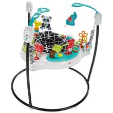 Fisher-Price Animal Wonders Jumperoo by Mattel in Janesville WI