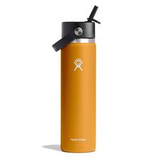 24 oz Wide Mouth with Flex Straw Cap - Fossil by Hydro Flask