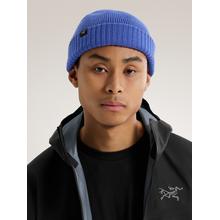 Mallow Toque by Arc'teryx