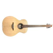 Riversong Magagna G2 Acoustic Guitar by Peavey