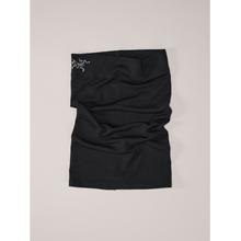 Rho Lightweight Wool Neck Gaiter by Arc'teryx in South Sioux City NE