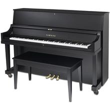 P22M SE by Yamaha Music