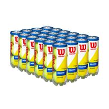 Championship High Altitude 3 Ball Can (24 Pack) by Wilson