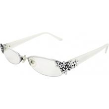 Love Daisy Readers by Brighton in Hollywood FL