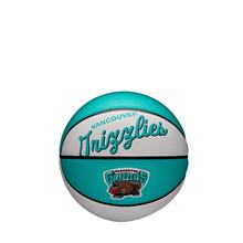 NBA Team Retro Mini Basketball by Wilson in Kildeer IL