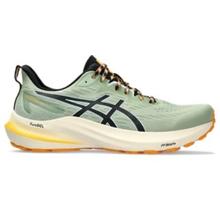 Men's GT-2000 12 Tr by ASICS in San Diego CA