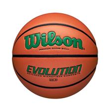 Evolution Game Basketball