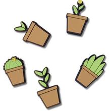 Potted Plant 5 Pack