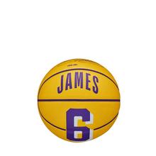 NBA Player Icon Mini Basketball - LeBron by Wilson