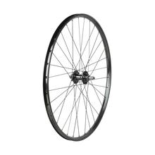 Bontrager Connection Schrader 6-Bolt Disc 29" MTB Wheel