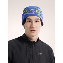 Lightweight Bird Head Toque by Arc'teryx in Loveland CO