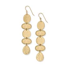 Palm Canyon Long French Wire Earrings